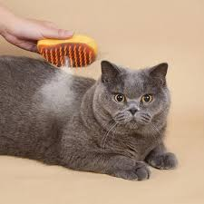 Cepillos y Grooming